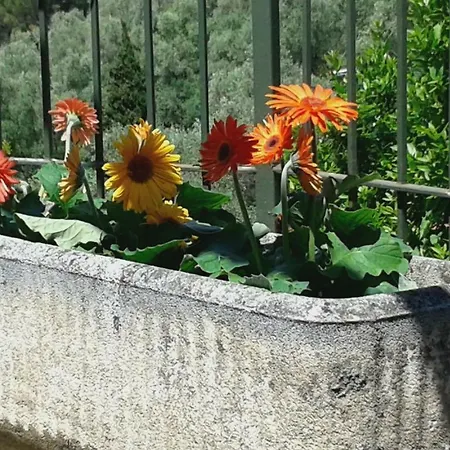 Apartamento Bellavista Moneglia