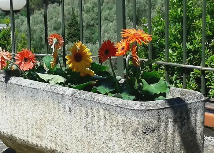 Apartman Bellavista Moneglia